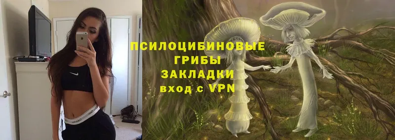 Галлюциногенные грибы Magic Shrooms  купить  сайты  Весьегонск 